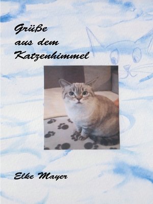 cover image of Grüße aus dem Katzenhimmel